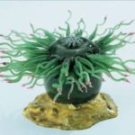 Sole 24 Ore – Sanità