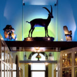 Dalla Scuola al… Museo – Sabato 16 gennaio 2° Open Day