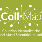 Progetto CollMap