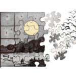 Due nuove pubblicazioni per raccontare i nostri Progetti