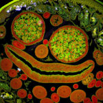 “Al di là del visibile” Mostra fotografica di Massimo Brizzi