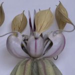 Mostra “CACAO tra Cielo e Terra”