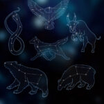 Gli animali del cielo